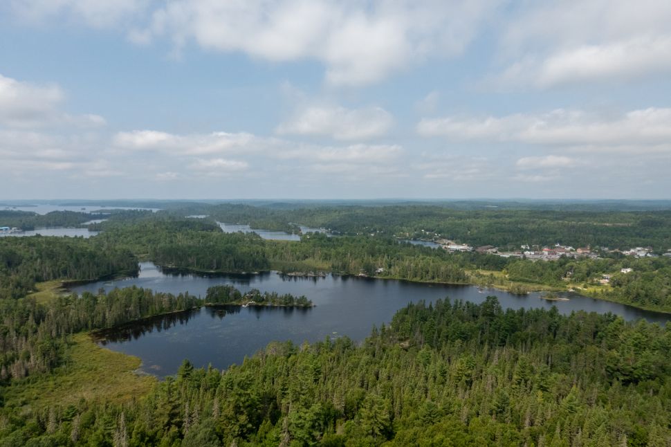 View from Temagami Fire Tower, perched atop Caribou Mountain in Northeastern Ontario, offering panoramic views of the surrounding old-growth forests and Lake Temagami
